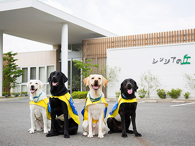 介助犬総合訓練センター～シンシアの丘～