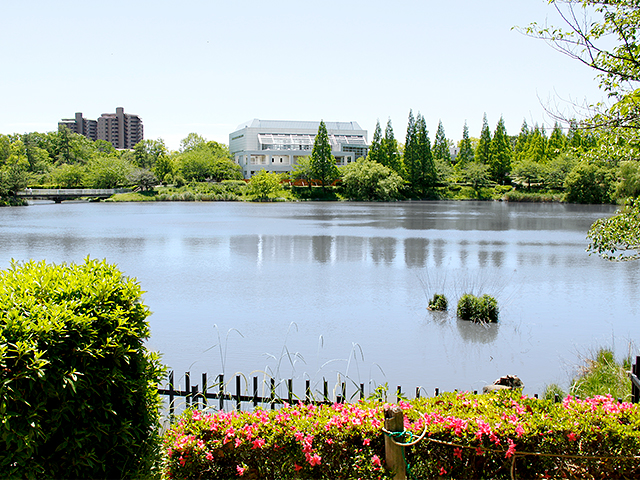 杁ヶ池公園（体育館）