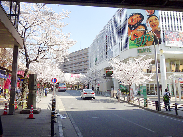 藤が丘中央商店街